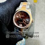 Rolex 31 mm Date Chocolate Dial? With Roman Nemeric Stoned Bezel? ?Oyster? Two Tone Bracelet Copy